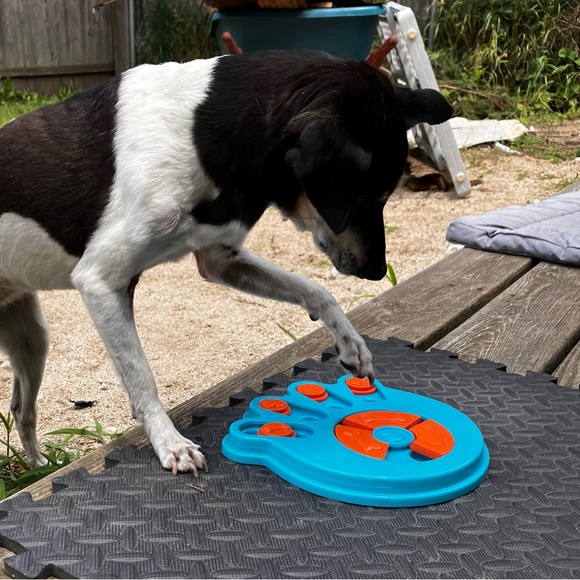 PUZZLE TOY *PAW SHAPE *DOG *CAT *IQ GAME *PUZZLE *HOST PICK *NWT - Picture 8 of 17